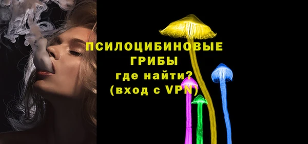 эйфоретик Алексеевка