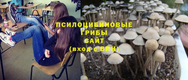 мет Алзамай