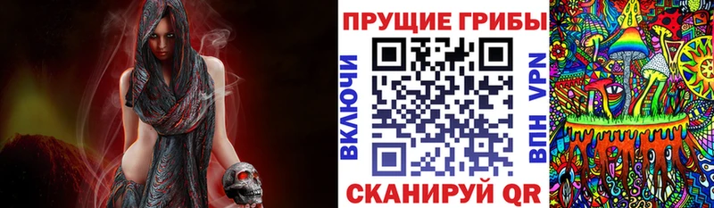 Галлюциногенные грибы прущие грибы  Шенкурск 